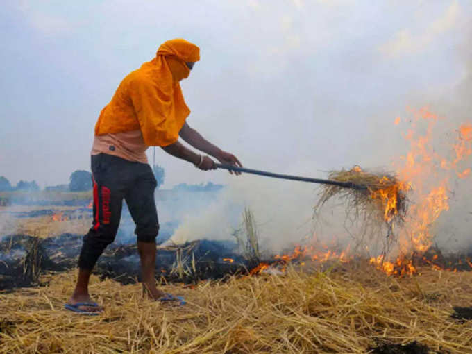 तैनात किए जाएंगे 2,500 पर्यावरण मार्शल