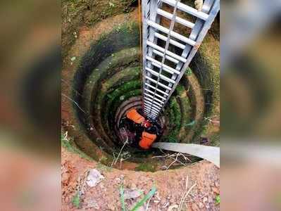 മേയാൻ വിട്ട പോത്ത് പൊട്ടക്കിണറ്റിൽ വീണു; സാഹസികമായി രക്ഷപ്പെടുത്തി  ഫയർ ഫോഴ്സ്! വീഡിയോ കാണാം