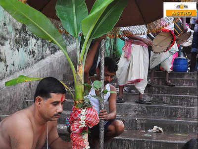 দুর্গা পুজো ২০২০: সপ্তমীতে নবপত্রিকা স্নান, কেন গণেশের পাশে থাকে কলাবউ?