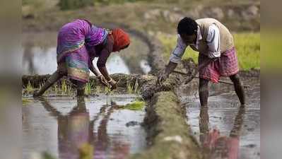 जखमेवर मीठ चोळण्यासाठी पाहणी दौरे करू नका; शेतकऱ्यांची नाराजी