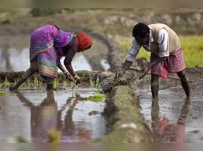 जखमेवर मीठ चोळण्यासाठी पाहणी दौरे करू नका; शेतकऱ्यांची नाराजी