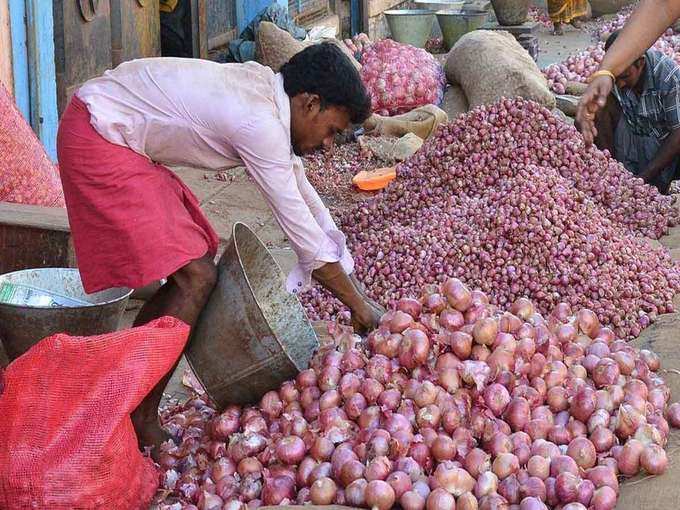 अगले महीने के मध्य तक आएगी नई फसल