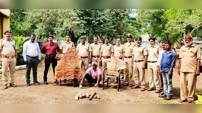 ವಿಜಯಪುರದಲ್ಲಿ ಮೊದಲ ಪ್ರಕರಣ: ಲಕ್ಷಾಂತರ ರೂ. ಬೆಲೆ ಬಾಳುವ ಹುಲಿ, ಕೃಷ್ಣಮೃಗ ಚರ್ಮ, ಉಗುರು ವಶ