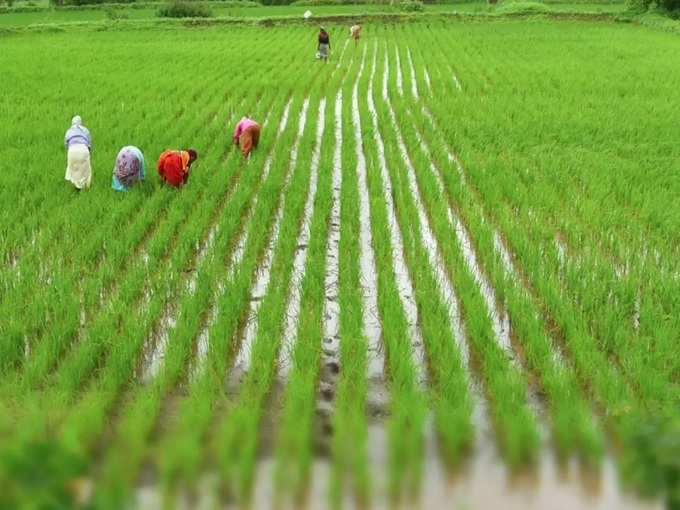 கண்ணீரை வரவழைக்கும் நெல்லையின் நிலை...