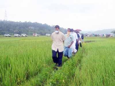 വയനാടന്‍ നെല്‍പാടങ്ങളില്‍ നേരിട്ടെത്തി രാഹുല്‍ ഗാന്ധി; ജില്ലാ ആശുപത്രിയിലും സന്ദര്‍ശനം, ഡല്‍ഹിയിലേക്ക് മടങ്ങി