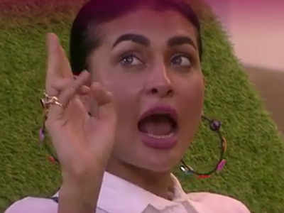 Bigg Boss 14 day 19 written update 22th October 2020 : एजाज और पवित्रा गला फाड़कर चीखे, पहले कैप्टन बने निशांत