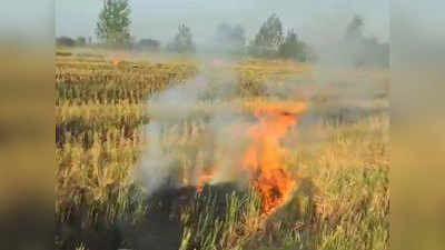 moradabad news: खेतों में जलाई पराली तो 2 किसानों पर लगा ढाई-ढाई हजार रुपये का जुर्माना