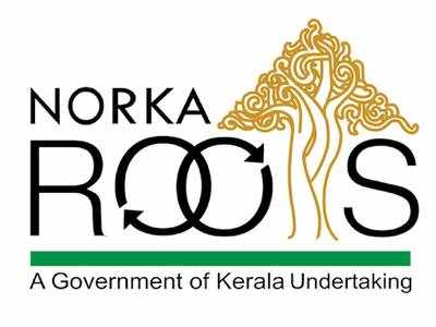 പ്രവാസിയാണോ? സ്വന്തമായി സംരംഭം തുടങ്ങാം, ഈ സർക്കാർ പദ്ധതിയിൽ രജിസ്റ്റർ ചെയ്തത് അയ്യായിരത്തോളം പേർ