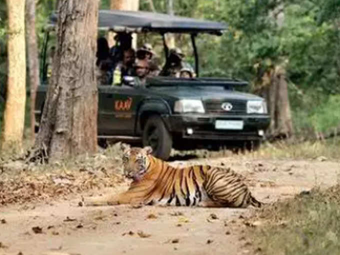 ദുബായ് സഫാരി പാര്‍ക്ക്