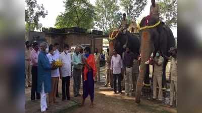 ಮೈಸೂರು ದಸರಾ ಆಯುಧ ಪೂಜೆ ಸಂಭ್ರಮ: ಜಿಲ್ಲಾಡಳಿತದಿಂದ ಜಂಬೂಸವಾರಿ ಆನೆಗಳಿಗೆ ಪೂಜೆ