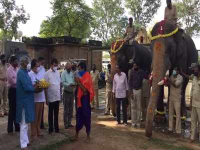 ಮೈಸೂರು ದಸರಾ ಆಯುಧ ಪೂಜೆ ಸಂಭ್ರಮ: ಜಿಲ್ಲಾಡಳಿತದಿಂದ ಜಂಬೂಸವಾರಿ ಆನೆಗಳಿಗೆ ಪೂಜೆ