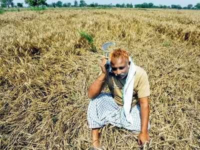 मदत तातडीने मिळावी