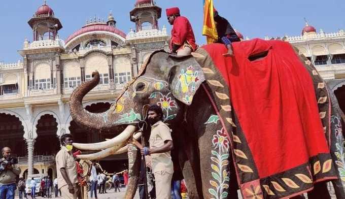 ಸಿಂಗಾರಗೊಂಡ ಗಜಪಡೆ.