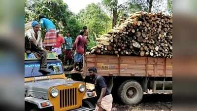 കൊവിഡിൽ കടുത്ത പ്രതിസന്ധി; തടി വ്യവസായം തകർച്ചയുടെ വക്കിൽ! ദുരിതത്തിലായത് നിരവധി കുടുംബങ്ങൾ