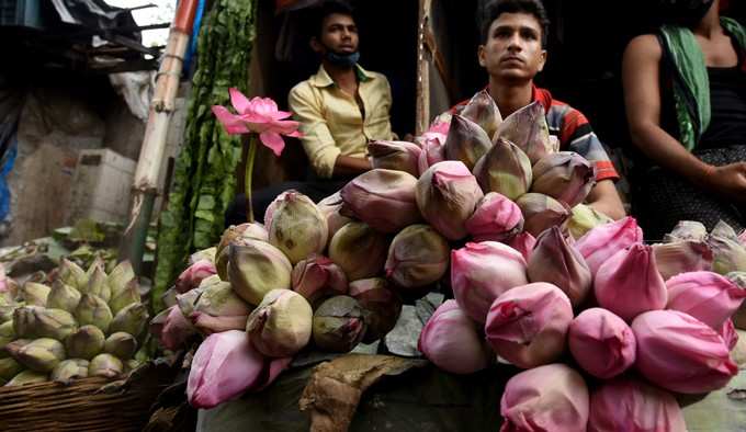 নবমীর রোশনাই, করোনা ভুলে পুজোয় মাতল বাঙালি!