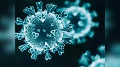 Coronavirus - ५६५ बाधित; ८७३ करोनामुक्त