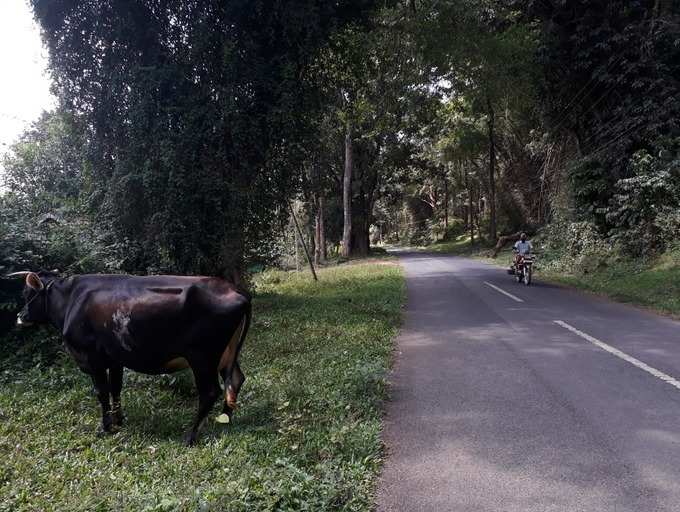 ​ഏതും സമയത്തും വരാം! ജാഗ്രത