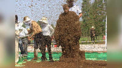 शरीर पर 6.37 लाख मधुमक्खियां, बुत बनकर खड़ा रहा शख्स और बन गया गिनेस रेकॉर्ड
