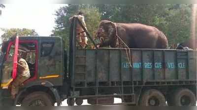 ಆಪರೇಷನ್ ಸ್ಪೆಷಲಿಸ್ಟ್‌ ಅಭಿಮನ್ಯು ಜಂಬೂ ಸವಾರಿ ಮರು ದಿನವೇ ಫುಲ್ ಬ್ಯುಸಿ..!