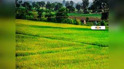 কৃষি উন্নয়নেও কমন সার্ভিস সেন্টার