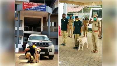 പഞ്ചാബിൽ നിന്ന് ജാക്ക് എത്തി; പ്രകൃതി ദുരന്തങ്ങൾക്ക് ശേഷം മണ്ണിനടിയിൽ ജീവന്‍റെ തുടിപ്പുണ്ടോയെന്ന് അറിയാൻ പോലീസ് സേനക്ക് പുതിയ സഹായി!!