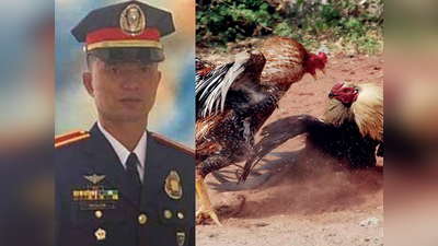 मुर्गे के साथ लड़ाई करनी पड़ी भारी, फिलीपीन्‍स में पुलिस अधिकारी की मौत