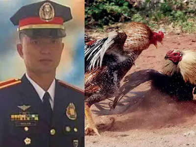 धक्कादायक! कोंबड्यांच्या झुंजीत पोलीस अधिकाऱ्याचा मृत्यू
