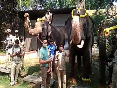 ಜಂಬೂ ಸವಾರಿ ಆನೆಗಳ ಜೊತೆ ಮೈಸೂರು ರಾಜವಂಶಸ್ಥರ ಫೋಟೋ ಸೆಷನ್