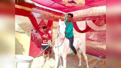 Bihar: चुनावी माहौल में कहां सजा है घोड़ों का बाजार, बिजली पर भारी है साधू का भाव, देखें तस्वीरें