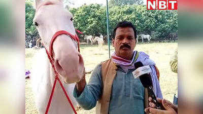 चुनावी मौसम में मिलिए इस घोड़ी से, नाम है बिजली और कीमत 5 लाख रुपये