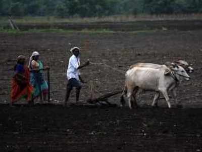 शेतकऱ्यांना भरीव मदत द्या