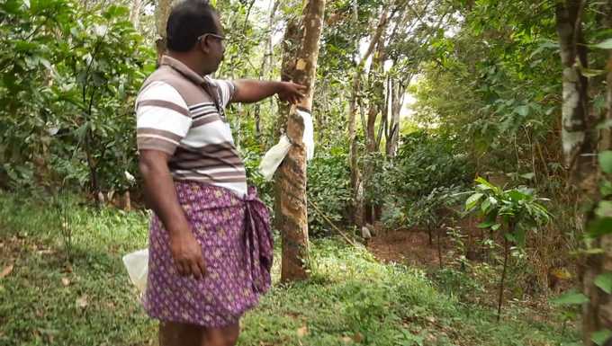 ​കര്‍ഷകരുടെ ഭൂമിയായ മുള്ളന്‍കൊല്ലി; വളർച്ച അതിരൂക്ഷം