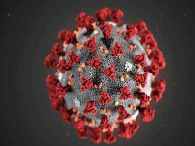 coronavirus - तीन मृत्यू, १३३ नवे बाधित