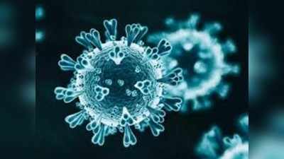coronavirus - गंभीर रुग्णांच्या संख्येत झाली घट
