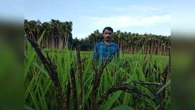 കിലോയ്ക്ക് 3000 രൂപയുള്ള ചിയ മുതല്‍ വിഐപി കരിഗജബല വരെ.... വേറിട്ട വഴിയില്‍ സുനില്‍, വീഡിയോ