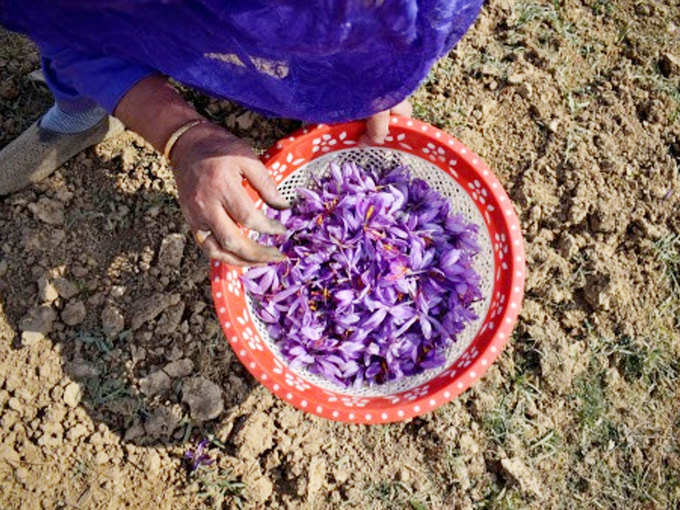 2500 हेक्टेयर का हुआ कायाकल्प