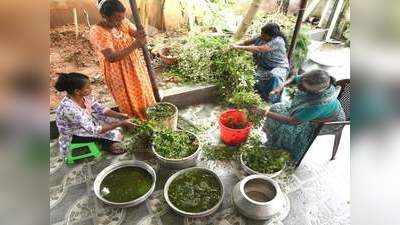 മുഖത്തെ കറുത്ത പാടുകള്‍ നീക്കാന്‍ കുറുന്തോട്ടി പായ്ക്ക്.....