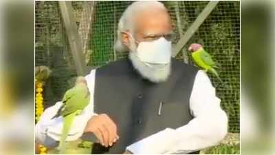 PM मोदी ने गुजरात को दी जंगल सफारी की सौगात, केवड़िया में सरदार पटेल प्राणी उद्यान संग किया सेल्फी पॉइंट का उद्घाटन