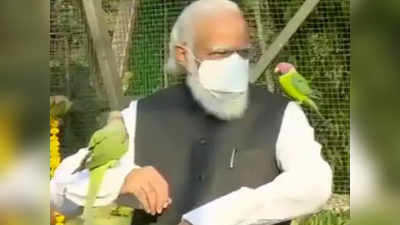 PM मोदींनी गुजरातला दिली जंगल सफारीची भेट, सेल्फी पॉइंटचे केले उद्घाटन