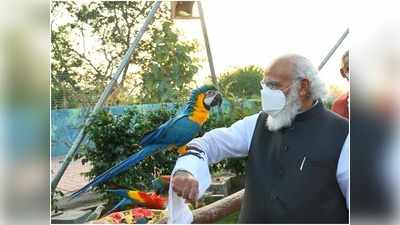 PM Modi In Gujarat: केवड़िया में PM मोदी, जूलोजिकल पार्क, कैक्टस गार्डन, एकता क्रूज संग सौगातों से भर दी गुजरात की झोली