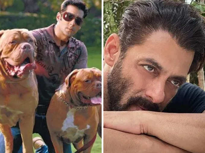 Salman had lost two of his pet dogs