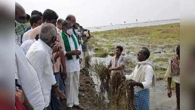 ఏపీకి కేంద్ర బృందం.. నాలుగు జిల్లాల్లో పర్యటన