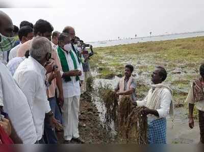 ఏపీకి కేంద్ర బృందం.. నాలుగు జిల్లాల్లో పర్యటన