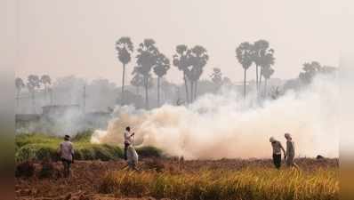 40 प्रतिशत तक पहुंचा पराली प्रदूषण