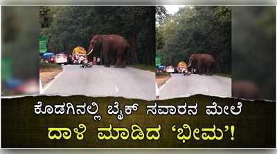 ಫೋಟೋ ತೆಗೆಯಲು ಹೋದ ಬೈಕ್ ಸವಾರನ ಮೇಲೆ ದಾಳಿ ಮಾಡಿದ ಗಜ ಭೀಮ..!