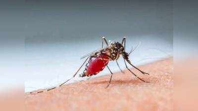 फरीदाबाद पर वायरस का ट्रिपल अटैक, कोरोना के बीच बढ़ने लगे डेंगू और मलेरिया के केस