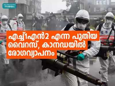 മനുഷ്യനില്‍ അപൂര്‍വ്വ പന്നിപ്പനി രോഗം; എച്ച്1എന്‍2 എന്ന പുതിയ വൈറസ്, കാനഡയില്‍ രോഗവ്യാപനം