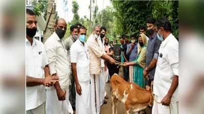 ഫാത്തിമക്ക് കൈത്താങ്ങുമായി മലബാര്‍ ഡയറി ഫാര്‍മേഴ്‌സ് അസോസിയേഷന്‍; കറവപശുവിനെയും കിടാവിനെയും നല്‍കി