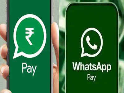 सोप्या पद्धतीने WhatsApp Pay वरून अशी करा पैशांची देवाण-घेवाण