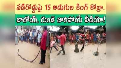 శ్రీకాకుళం: బాబోయ్, జనాల్లోకి కింగ్ కోబ్రా.. ఆయన జస్ట్ మిస్.. ఈ వీడియో చూడాల్సిందే!